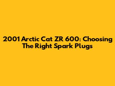 2001 Arctic Cat ZR 600: Choosing The Right Spark Plugs