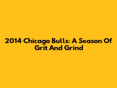 2014 Chicago Bulls: A Season Of Grit And Grind
