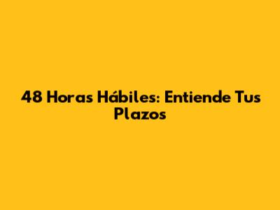 48 Horas Hábiles: Entiende Tus Plazos