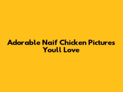 Adorable Naif Chicken Pictures You'll Love