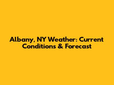 Albany, NY Weather: Current Conditions & Forecast