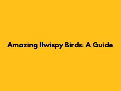Amazing IIwispy Birds: A Guide