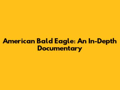 American Bald Eagle: An In-Depth Documentary