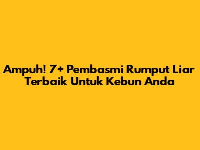 Ampuh! 7+ Pembasmi Rumput Liar Terbaik Untuk Kebun Anda