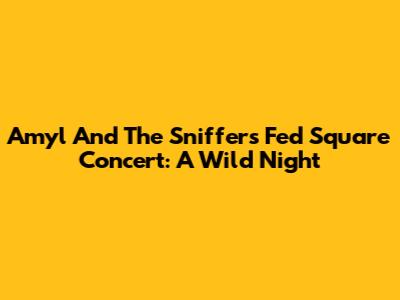 Amyl And The Sniffers Fed Square Concert: A Wild Night