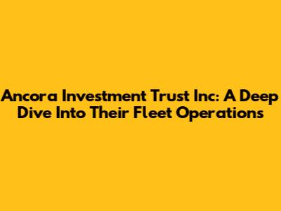 Ancora Investment Trust Inc: A Deep Dive Into Their Fleet Operations