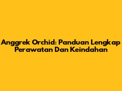 Anggrek Orchid: Panduan Lengkap Perawatan Dan Keindahan