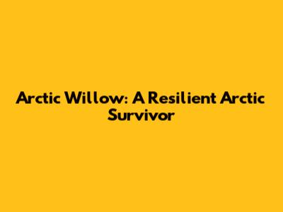 Arctic Willow: A Resilient Arctic Survivor