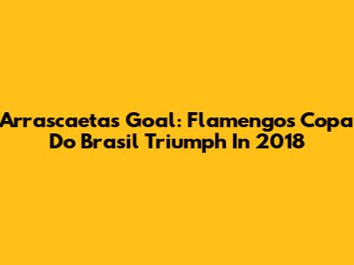 Arrascaeta's Goal: Flamengo's Copa Do Brasil Triumph In 2018