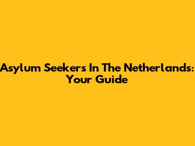 Asylum Seekers In The Netherlands: Your Guide