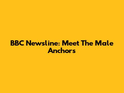 BBC Newsline: Meet The Male Anchors