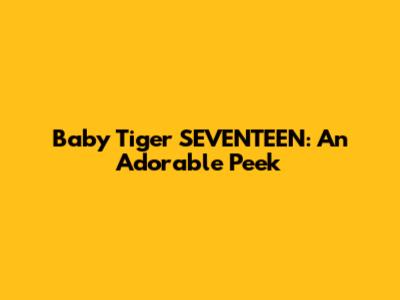 Baby Tiger SEVENTEEN: An Adorable Peek