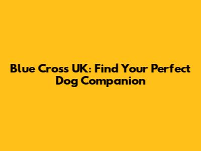 Blue Cross UK: Find Your Perfect Dog Companion