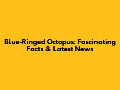 Blue-Ringed Octopus: Fascinating Facts & Latest News