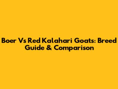 Boer Vs Red Kalahari Goats: Breed Guide & Comparison