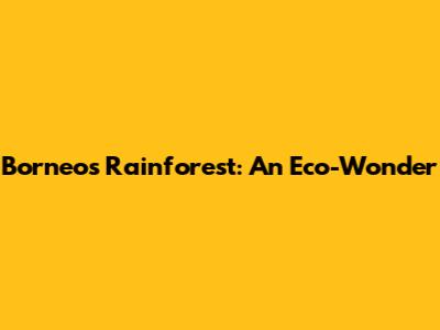 Borneo's Rainforest: An Eco-Wonder