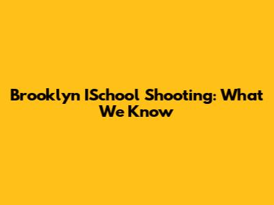 Brooklyn ISchool Shooting: What We Know