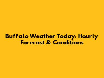 Buffalo Weather Today: Hourly Forecast & Conditions