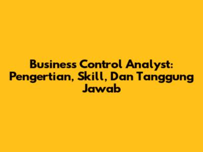 Business Control Analyst: Pengertian, Skill, Dan Tanggung Jawab
