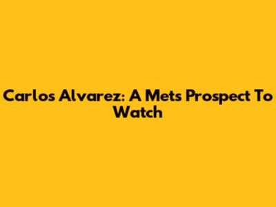 Carlos Alvarez: A Mets Prospect To Watch