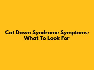 Cat Down Syndrome Symptoms: What To Look For