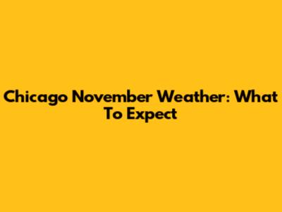 Chicago November Weather: What To Expect