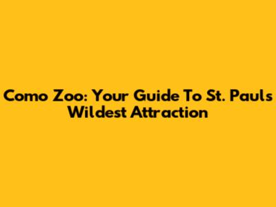 Como Zoo: Your Guide To St. Paul's Wildest Attraction
