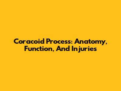 Coracoid Process: Anatomy, Function, And Injuries
