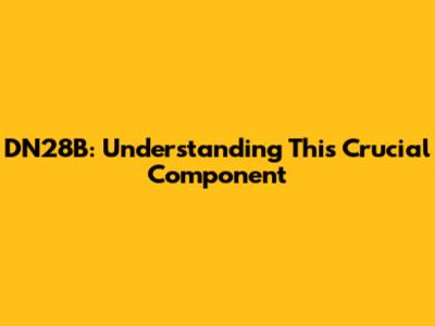 DN28B: Understanding This Crucial Component