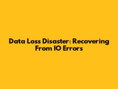 Data Loss Disaster: Recovering From IO Errors
