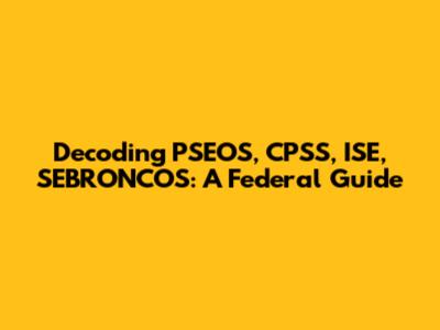 Decoding PSEOS, CPSS, ISE, SEBRONCOS: A Federal Guide