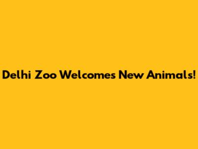 Delhi Zoo Welcomes New Animals!