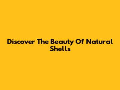 Discover The Beauty Of Natural Shells