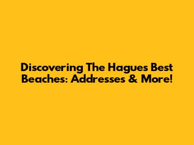 Discovering The Hague's Best Beaches: Addresses & More!