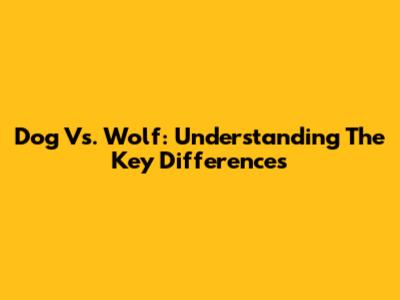 Dog Vs. Wolf: Understanding The Key Differences