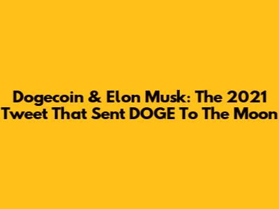 Dogecoin & Elon Musk: The 2021 Tweet That Sent DOGE To The Moon