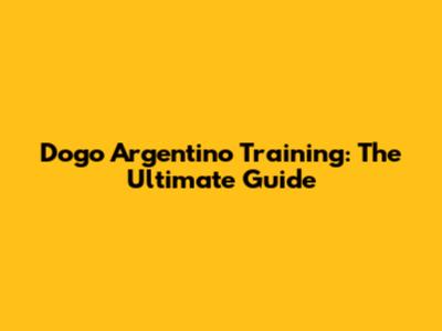 Dogo Argentino Training: The Ultimate Guide