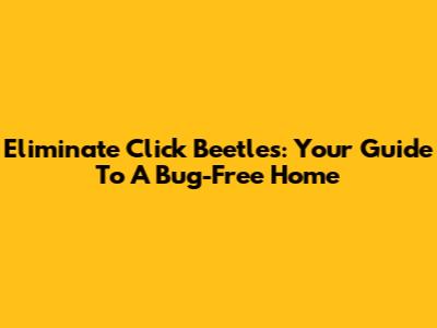 Eliminate Click Beetles: Your Guide To A Bug-Free Home