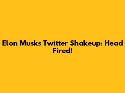 Elon Musk's Twitter Shakeup: Head Fired!