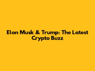 Elon Musk & Trump: The Latest Crypto Buzz