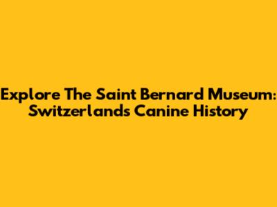 Explore The Saint Bernard Museum: Switzerland's Canine History