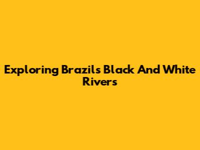 Exploring Brazil's Black And White Rivers