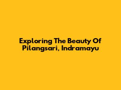 Exploring The Beauty Of Pilangsari, Indramayu