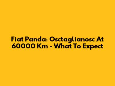 Fiat Panda: Osctaglianosc At 60000 Km - What To Expect