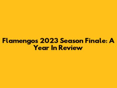 Flamengo's 2023 Season Finale: A Year In Review