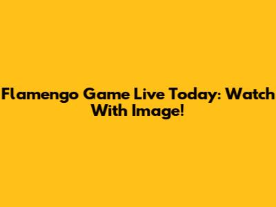 Flamengo Game Live Today: Watch With Image!