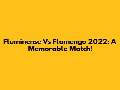 Fluminense Vs Flamengo 2022: A Memorable Match!