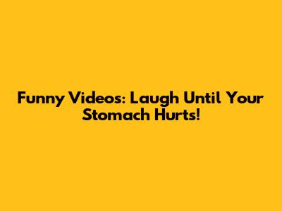 Funny Videos: Laugh Until Your Stomach Hurts!