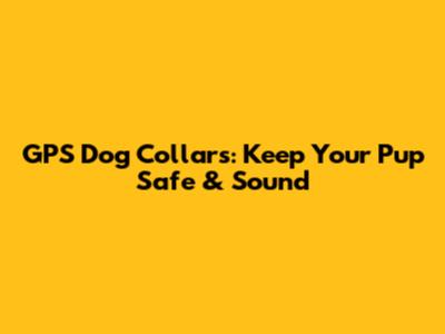 GPS Dog Collars: Keep Your Pup Safe & Sound