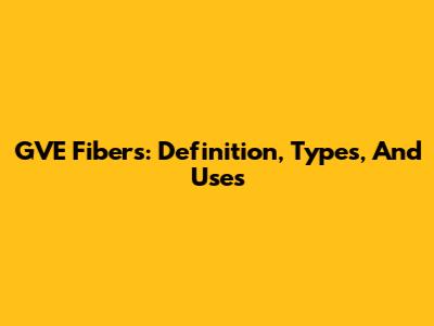 GVE Fibers: Definition, Types, And Uses